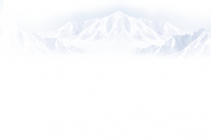 雪山雪景狼群首页装修