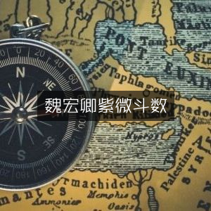魏宏卿解读紫微斗数，古典文集精选