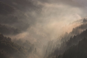山脉 雾 圣敦 森林 风景 4k壁纸 3840x2160