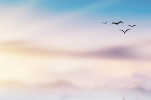 唯美雪景卡通景色banner