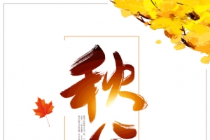 秋分小女孩大树枫叶