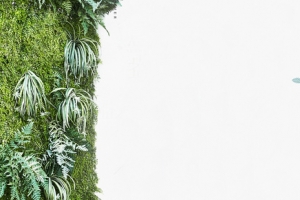 欧美风简约清新大女装海报banner