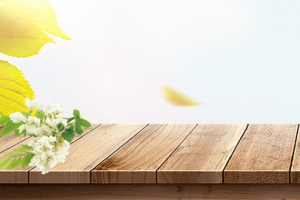 清新文艺水果新鲜食品淘宝banner