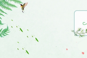 护肤品美妆化妆品海报banner