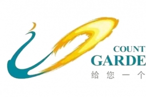 碧桂园logo