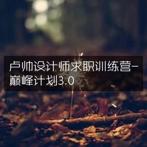卢帅设计师求职训练营·巅峰计划3.0升级版
