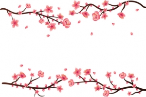 浪漫粉红樱花边框