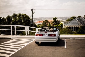 自动 狗 cabriolet 4k壁纸 3840x2160