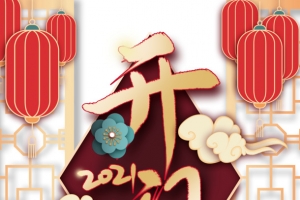 开门红2021灯笼花朵祥云
