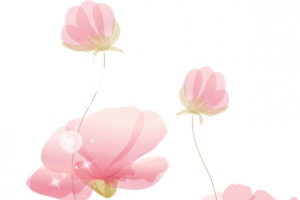 手绘花朵