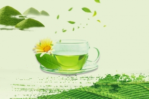 绿色清新绿叶茶叶饮品绿茶淘宝banner