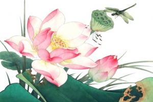 夏季荷花蜻蜓