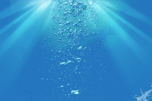 简洁蓝色世界海洋日海报设计