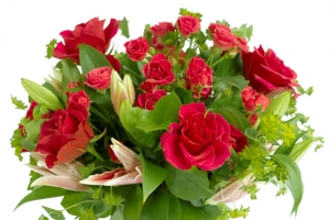 花束 鲜花 花 玫瑰