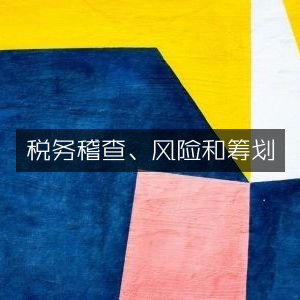 税务稽查风险管理与筹划策略