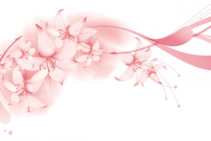 唯美花卉