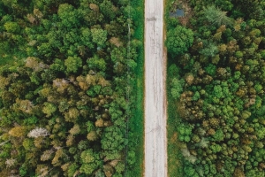 道路 鸟瞰图 树木 森林 电线 4k壁纸 3840x2160