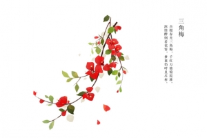 手绘唯美植物花卉