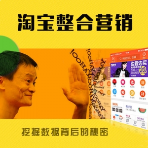淘宝开店宝典，从零起步，精通运营，迈向百万收益（原价498元）