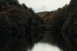 湖 树 岸 水 景观 4k壁纸 3840x2160