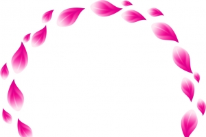 粉红色花瓣边框
