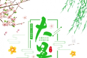 大暑传统二十四节气荷叶荷花