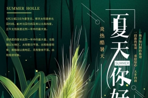 手绘清新夏天你好海报