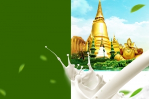 泰国旅游乳胶枕PSD分层主图背景素材