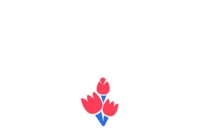 母亲节剪影