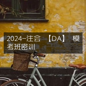 2024注会【DA】模考班精英密训