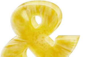 R11 - Ananas Slices - ABC - 00