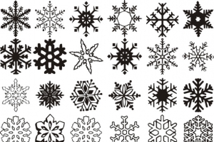 多种雪花图标