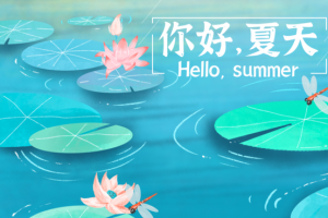 你好，夏天 荷叶荷花 手绘
