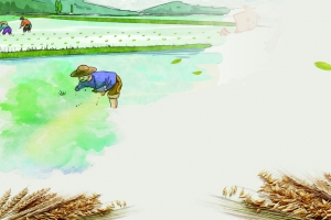 节约粮食     杜绝浪费