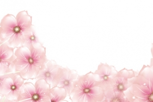 3.8女神节粉色花朵