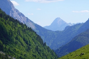斜坡 山脉 森林 风景 4k壁纸 3840x2160