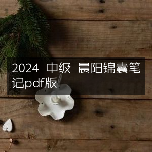 2024中级考试晨阳锦囊笔记PDF版