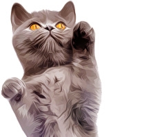 高清手绘逼真站立的小猫