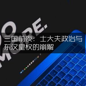 三国前夜，探究士大夫政治与东汉皇权崩解的历史文化书籍