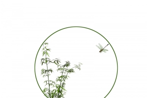 古风竹子圆形边框