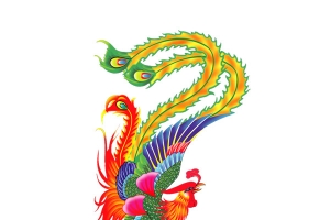 传说中的彩色凤凰