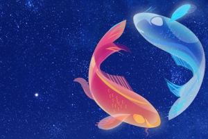 文艺简约清新锦鲤大王banner