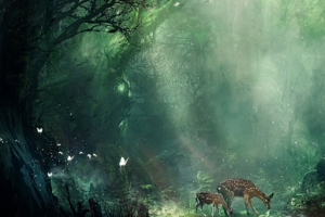 梦幻森林背景