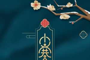 小寒玉兰花树枝背景图
