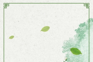 清新金银花药材花茶