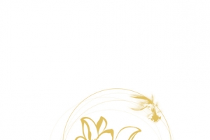鲤鱼戏水莲花