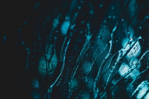 玻璃 湿 宏观 滴 滴 4k壁纸 3840x2160
