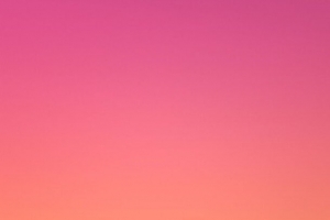 玫粉渐变背景图片