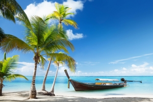 泰国的海滩 棕榈树 海 船 风景摄影图片