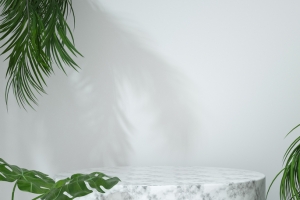 背景，植物，展台，简约